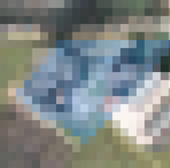 Bekkenhaarsweg 5 Hoge Hexel thumbnail 61