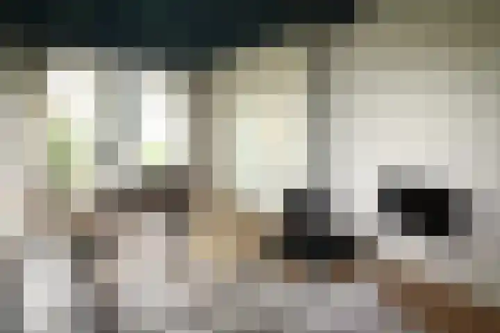 Bekkenhaarsweg 5 Hoge Hexel thumbnail 8