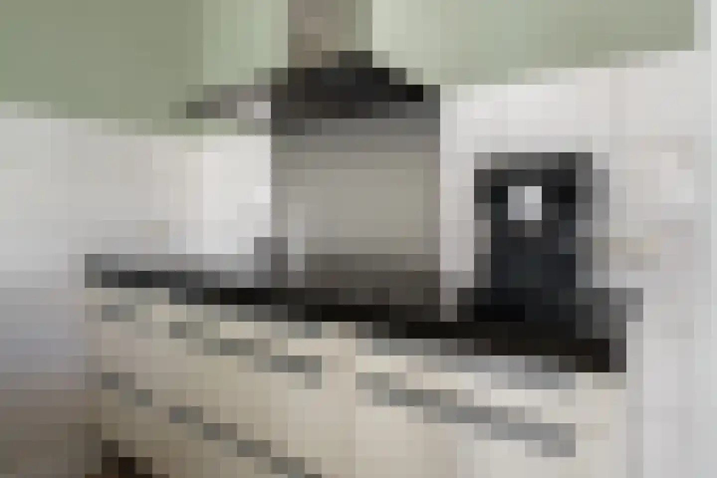 Bekkenhof 16 Deurningen thumbnail 21