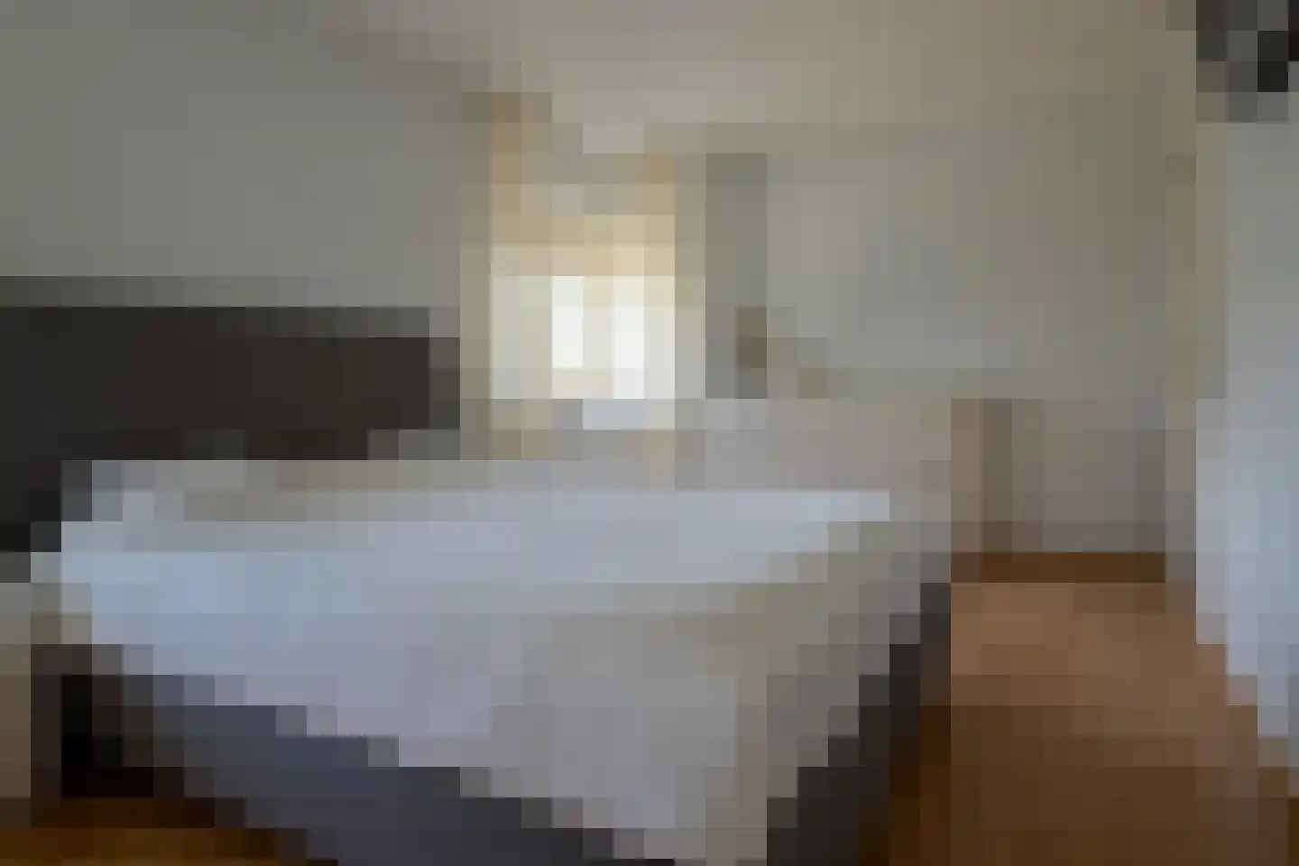 Bekkenhof 16 Deurningen thumbnail 37
