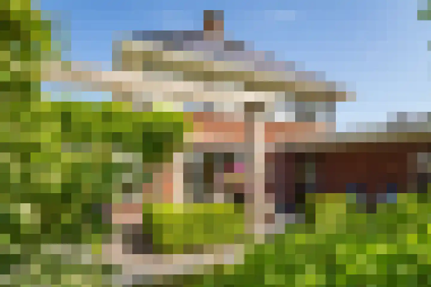 Bekkenhof 16 Deurningen thumbnail 4