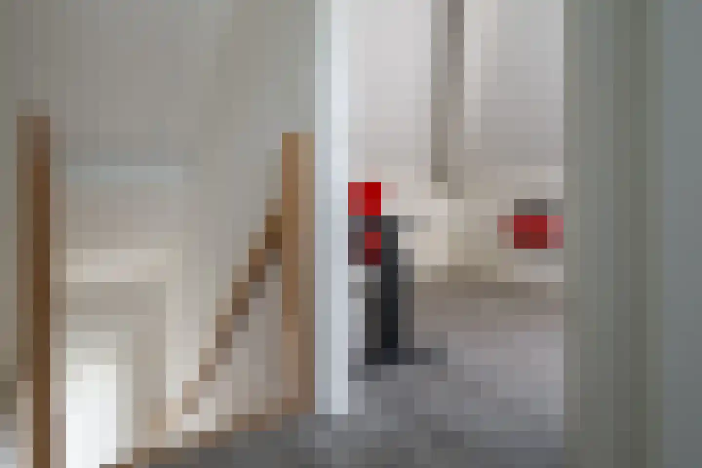Bekkenhof 16 Deurningen thumbnail 40