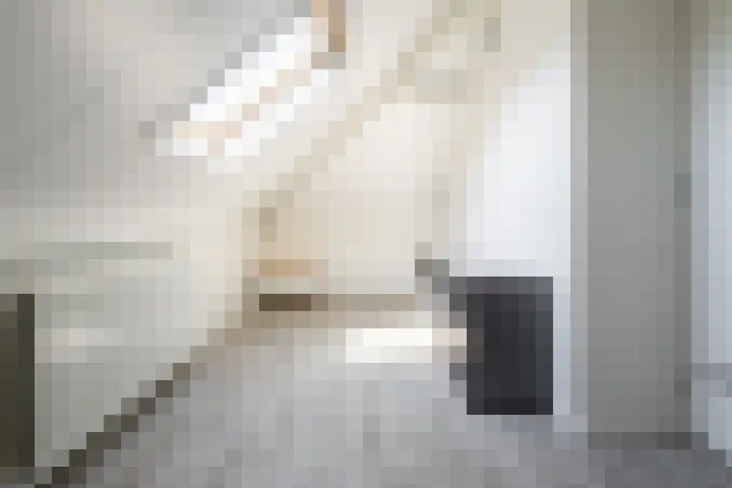 Bekkenhof 16 Deurningen thumbnail 42