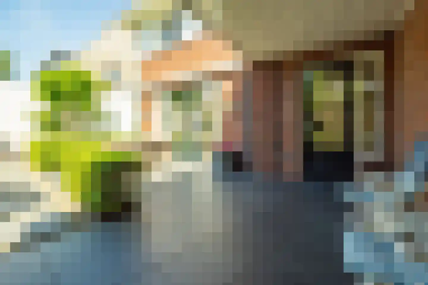 Bekkenhof 16 Deurningen thumbnail 48