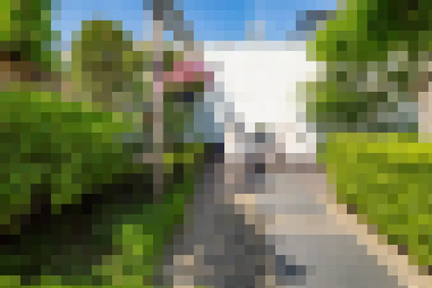 Bekkenhof 16 Deurningen thumbnail 49