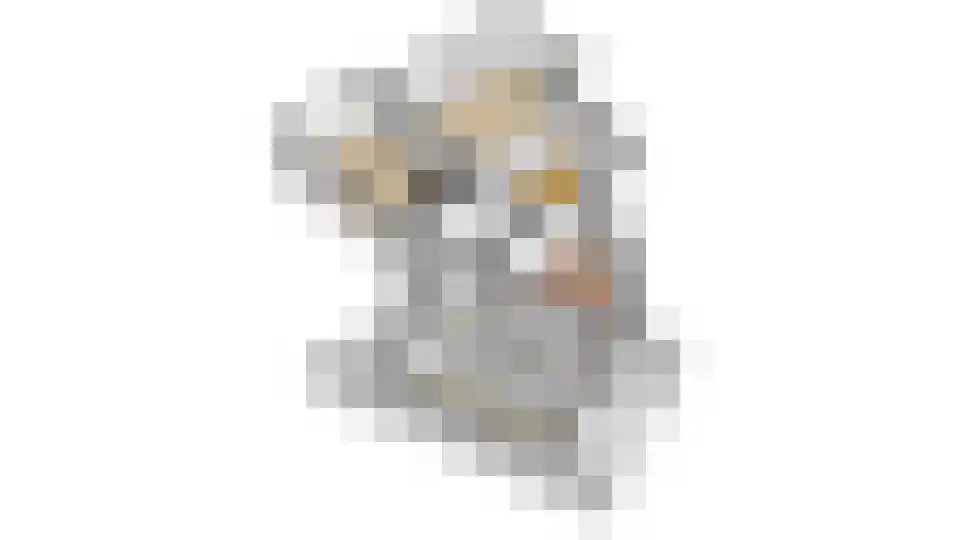 Bekkenhof 16 Deurningen thumbnail 68