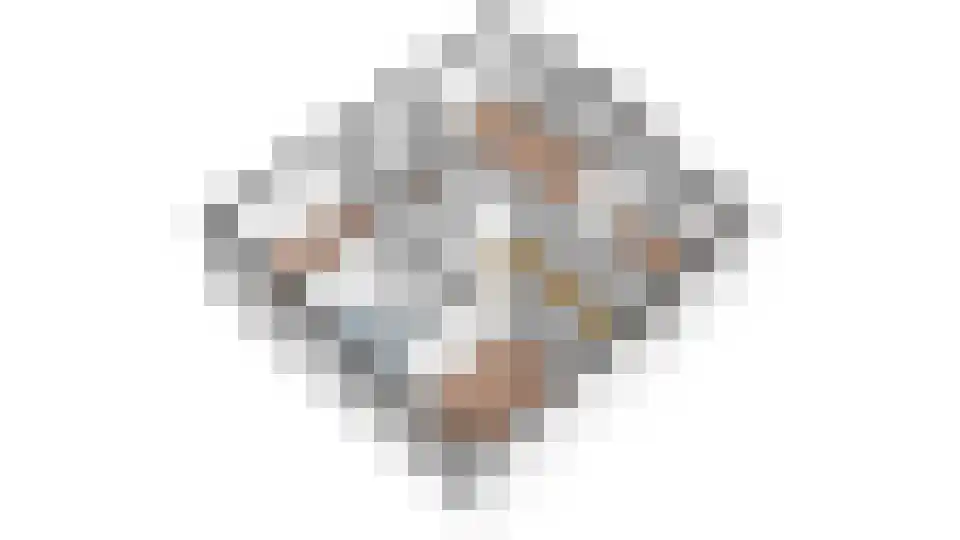 Bekkenhof 16 Deurningen thumbnail 70