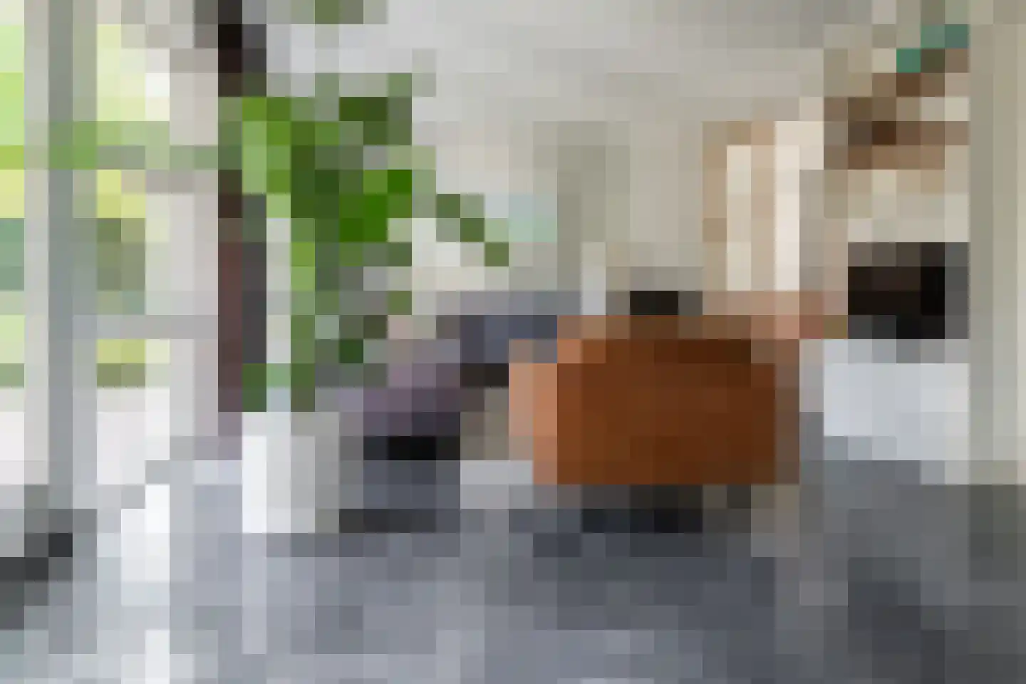 Bekkenhof 8 Deurningen thumbnail 10