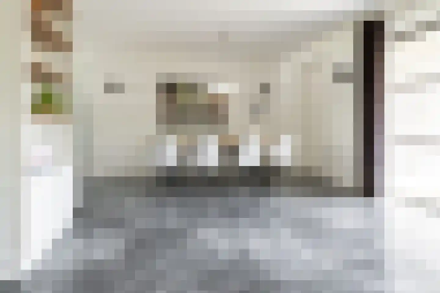 Bekkenhof 8 Deurningen thumbnail 16