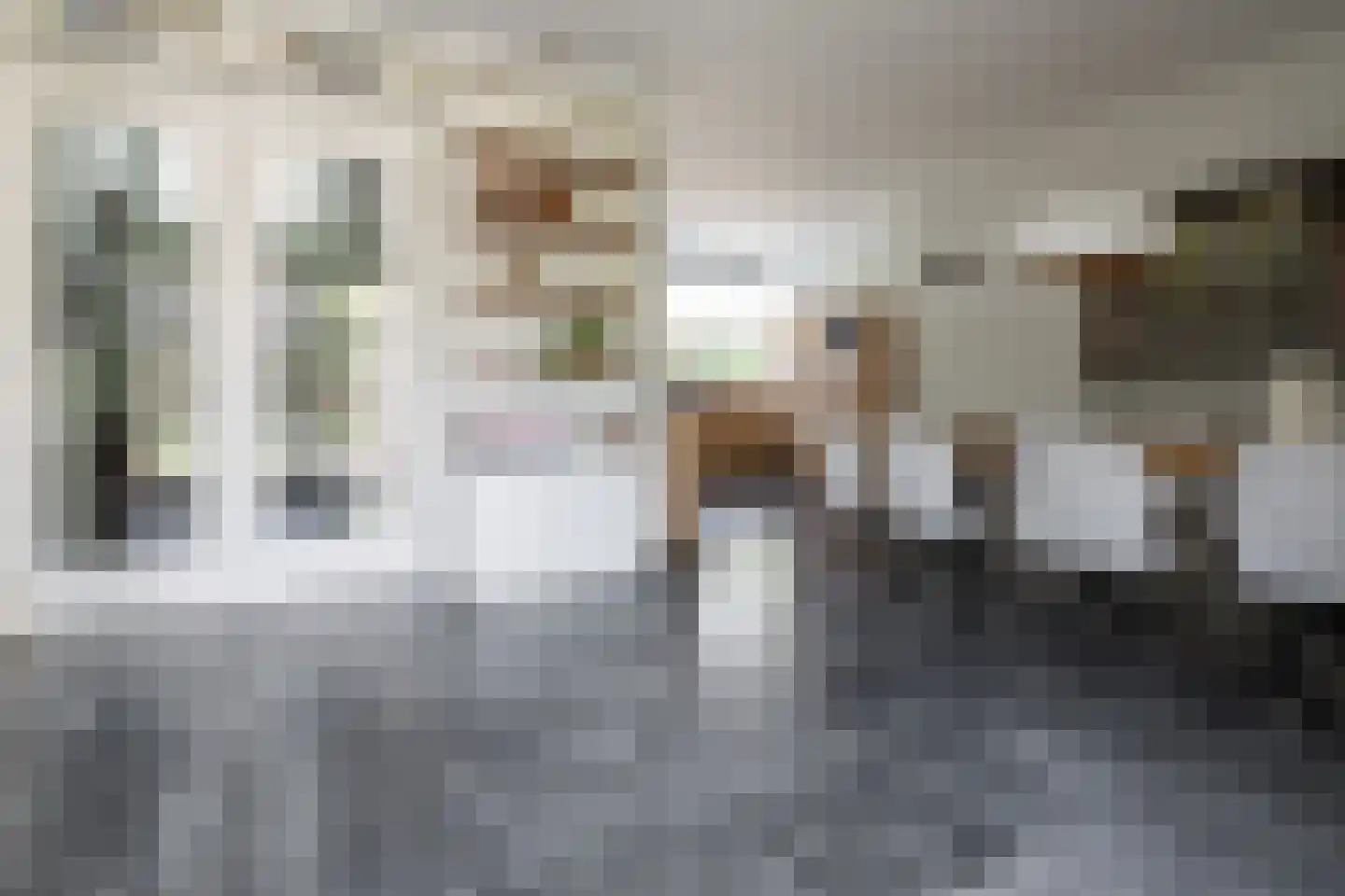 Bekkenhof 8 Deurningen thumbnail 18