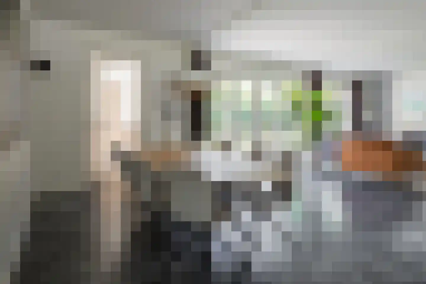 Bekkenhof 8 Deurningen thumbnail 22