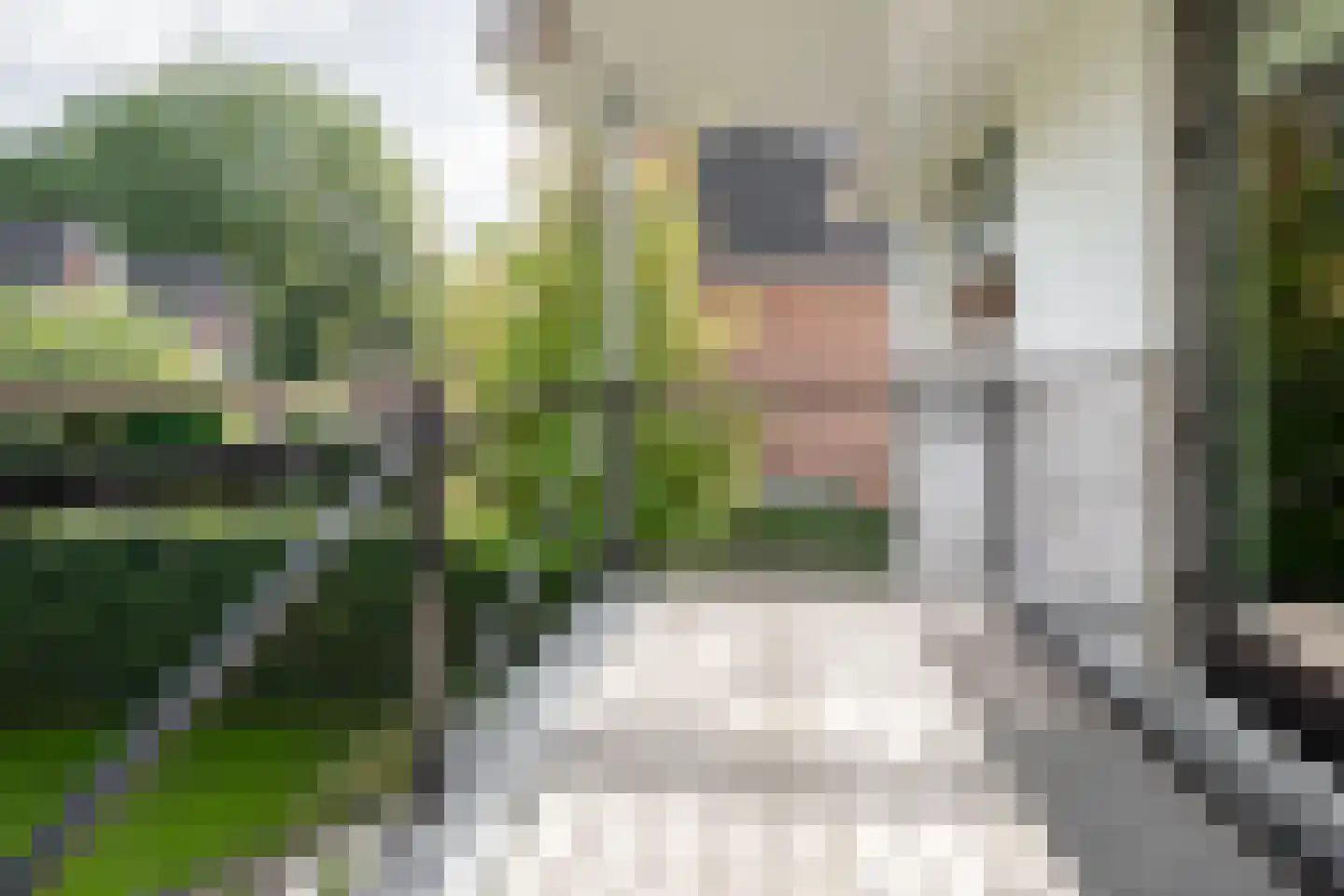 Bekkenhof 8 Deurningen thumbnail 35