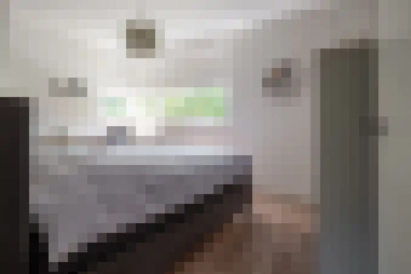 Bekkenhof 8 Deurningen thumbnail 37