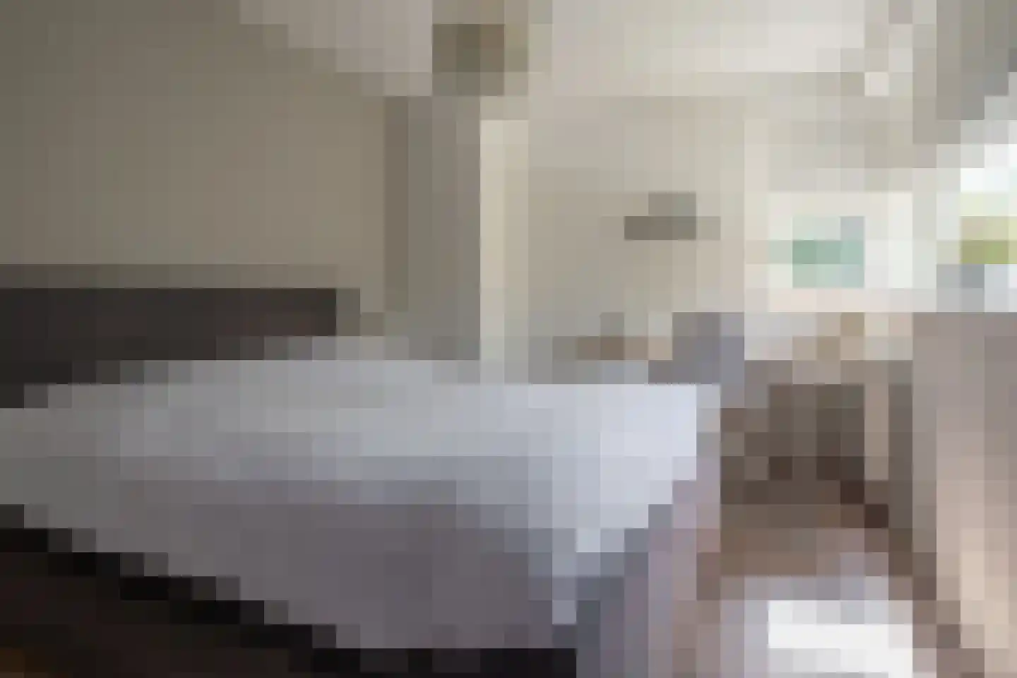 Bekkenhof 8 Deurningen thumbnail 38