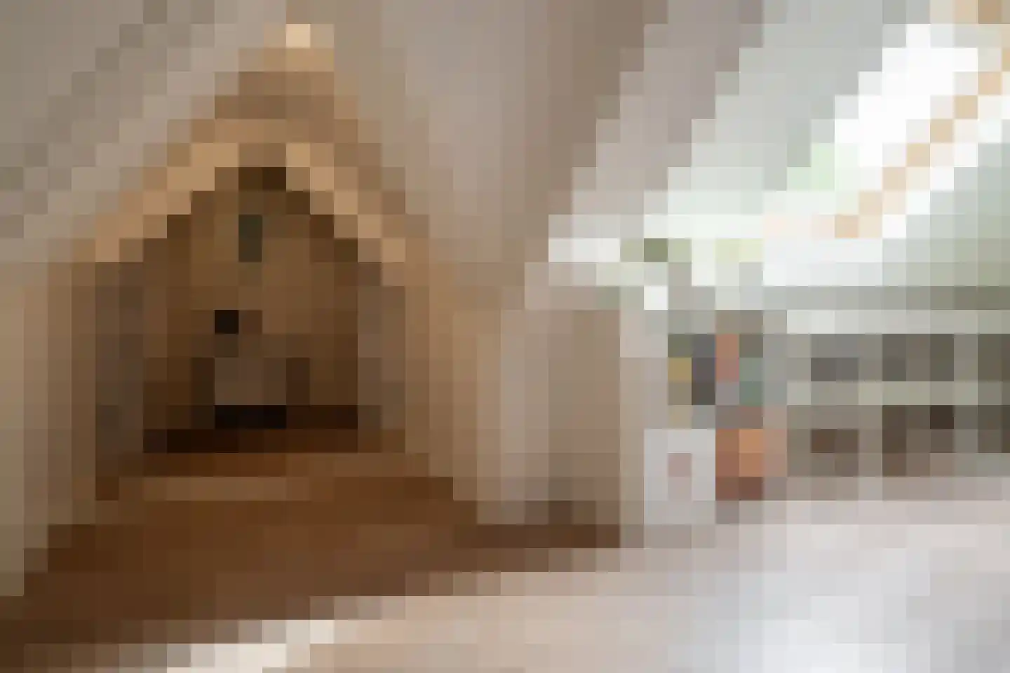 Bekkenhof 8 Deurningen thumbnail 43