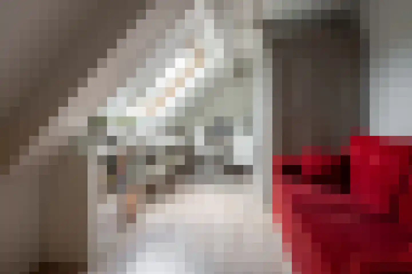 Bekkenhof 8 Deurningen thumbnail 44