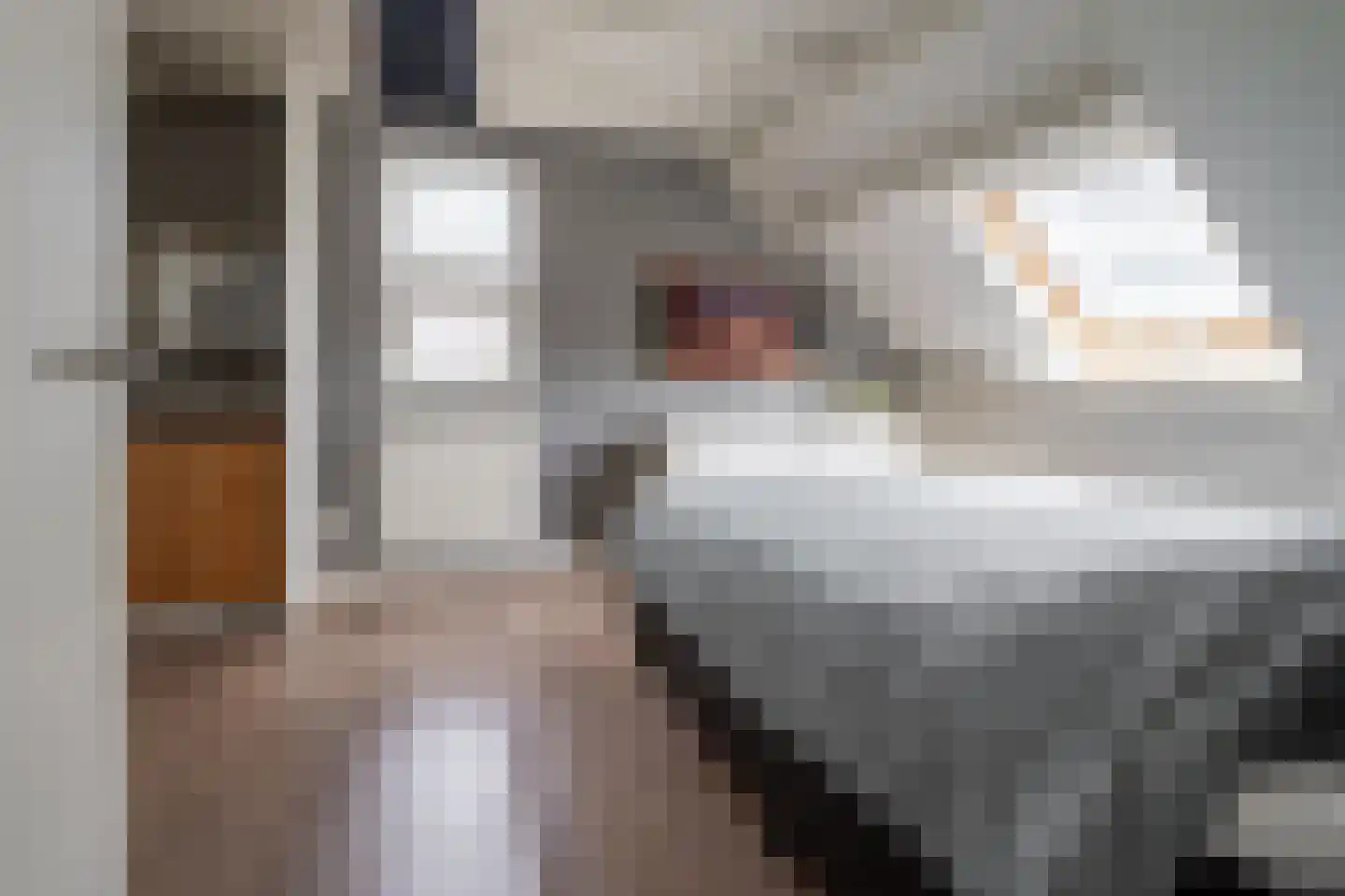 Bekkenhof 8 Deurningen thumbnail 47