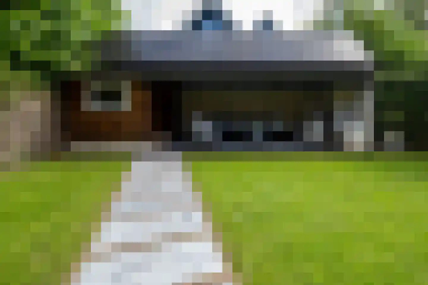 Bekkenhof 8 Deurningen thumbnail 54