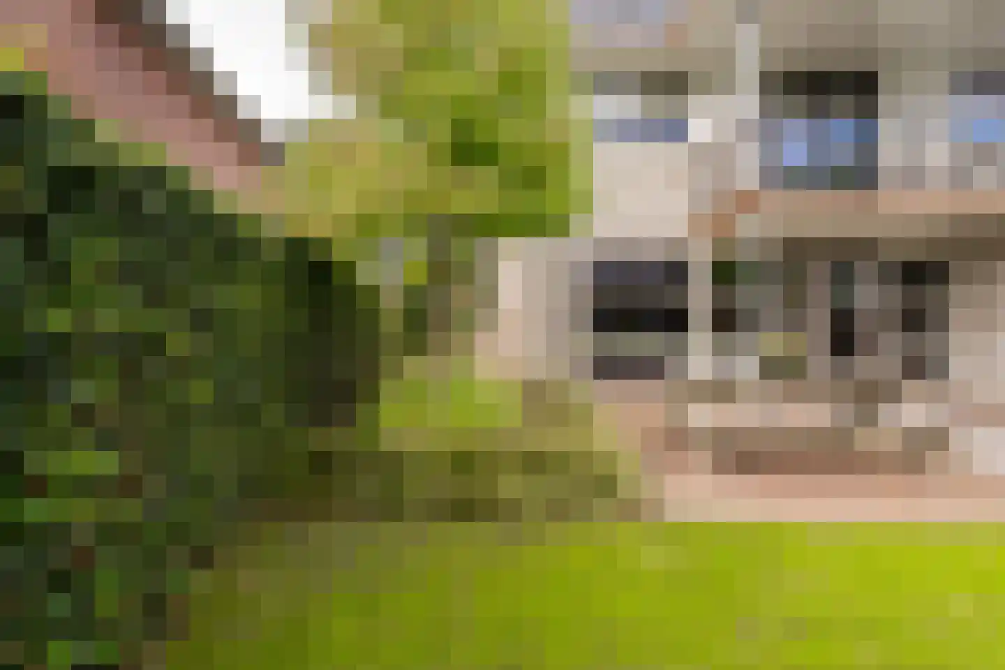 Bekkenhof 8 Deurningen thumbnail 56
