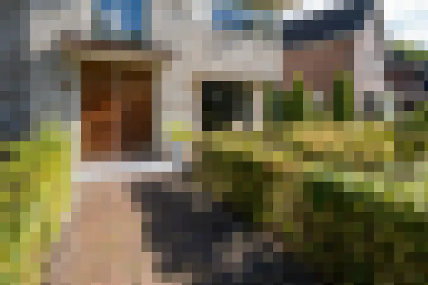 Bekkenhof 8 Deurningen thumbnail 61