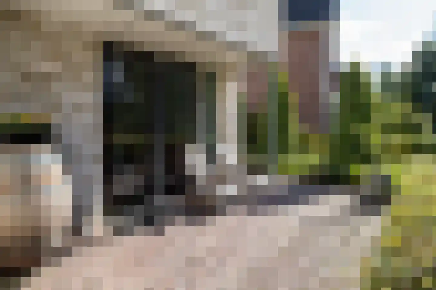 Bekkenhof 8 Deurningen thumbnail 63