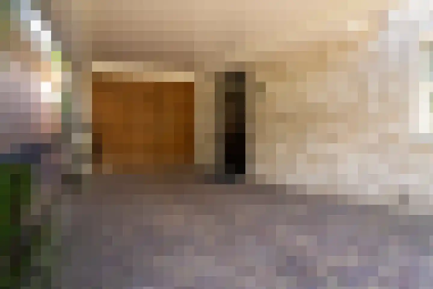 Bekkenhof 8 Deurningen thumbnail 64