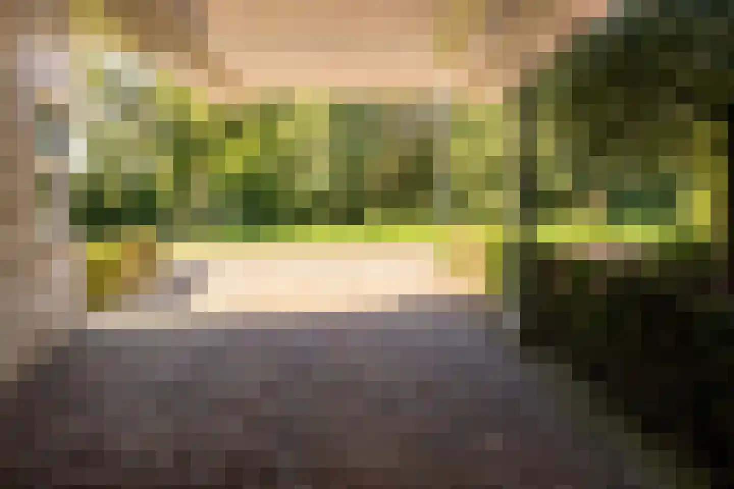 Bekkenhof 8 Deurningen thumbnail 65