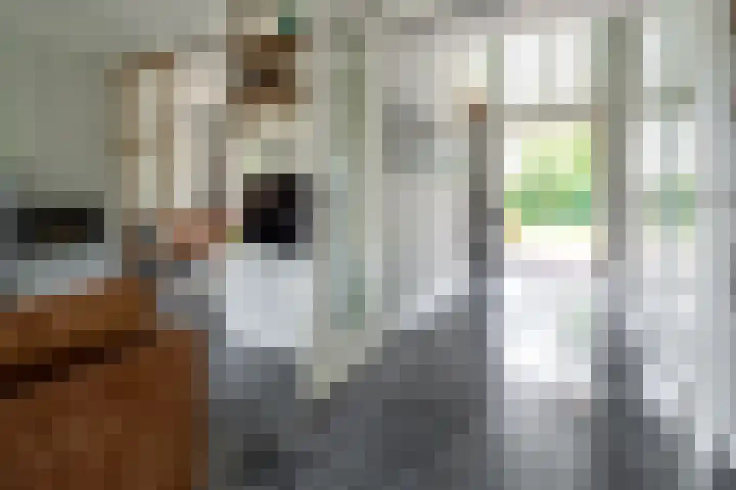 Bekkenhof 8 Deurningen thumbnail 8