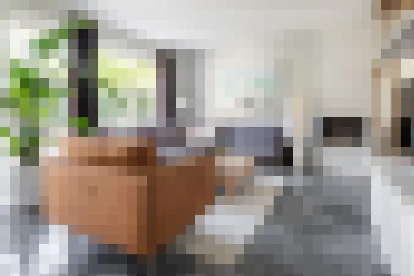 Bekkenhof 8 Deurningen thumbnail 9