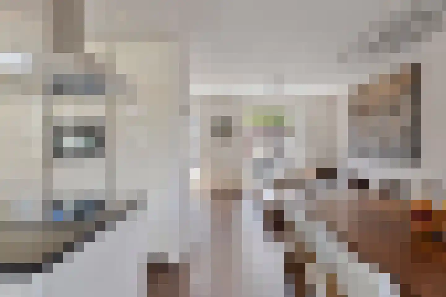Bekkensstraat 24 Eindhoven thumbnail 13