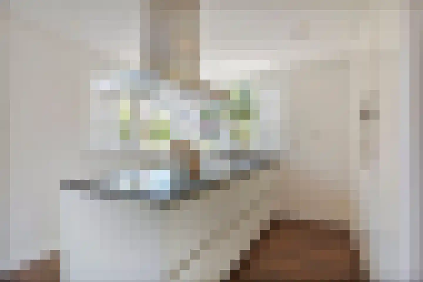 Bekkensstraat 24 Eindhoven thumbnail 17