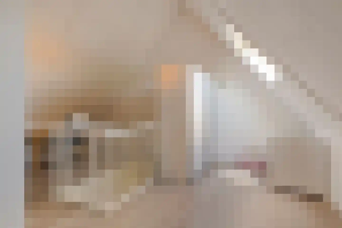 Bekkensstraat 24 Eindhoven thumbnail 28