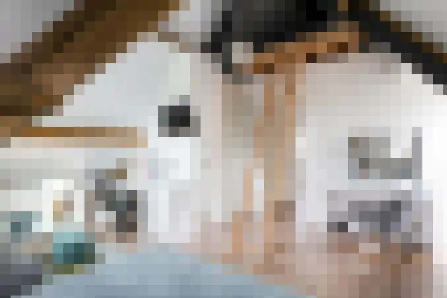 Bekkensstraat 52 Eindhoven thumbnail 32