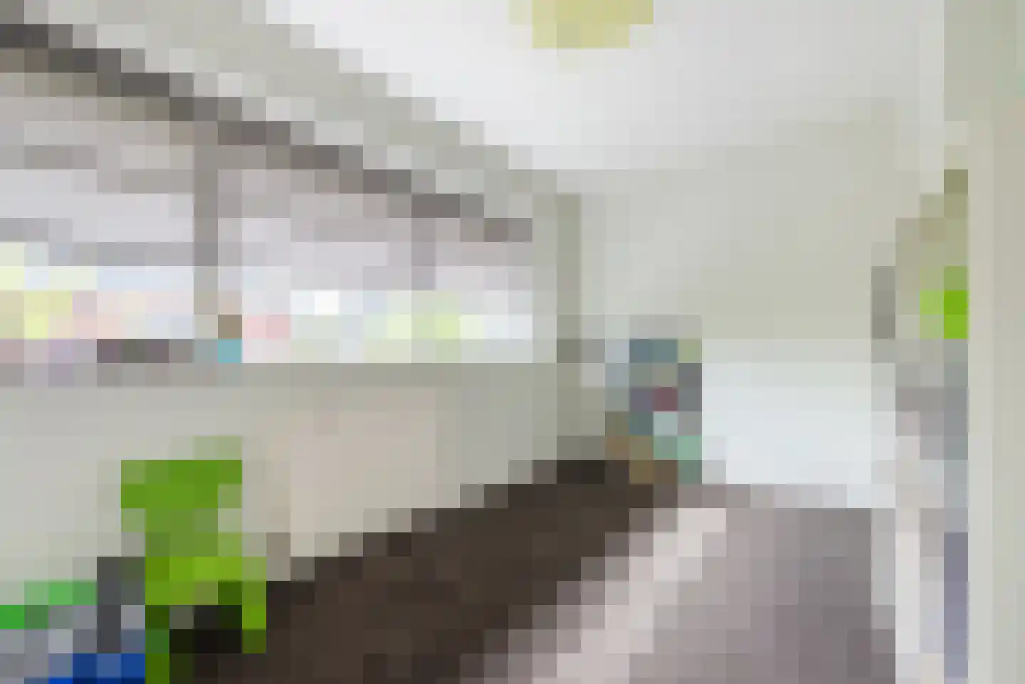 Bekkensstraat 6 Eindhoven thumbnail 29