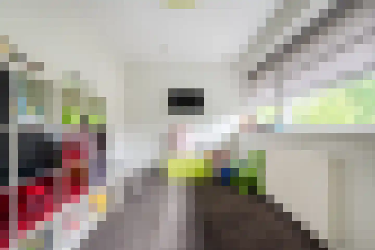 Bekkensstraat 6 Eindhoven thumbnail 30