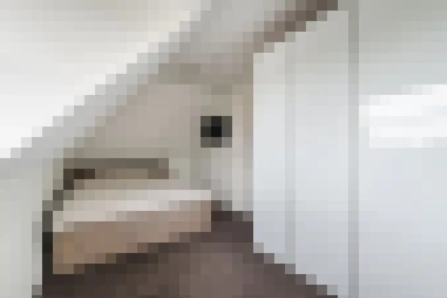 Bekkensstraat 6 Eindhoven thumbnail 44