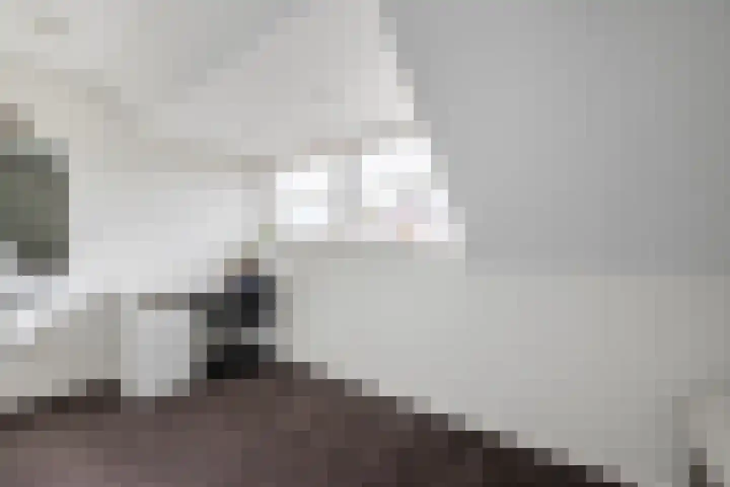 Bekkensstraat 6 Eindhoven thumbnail 45