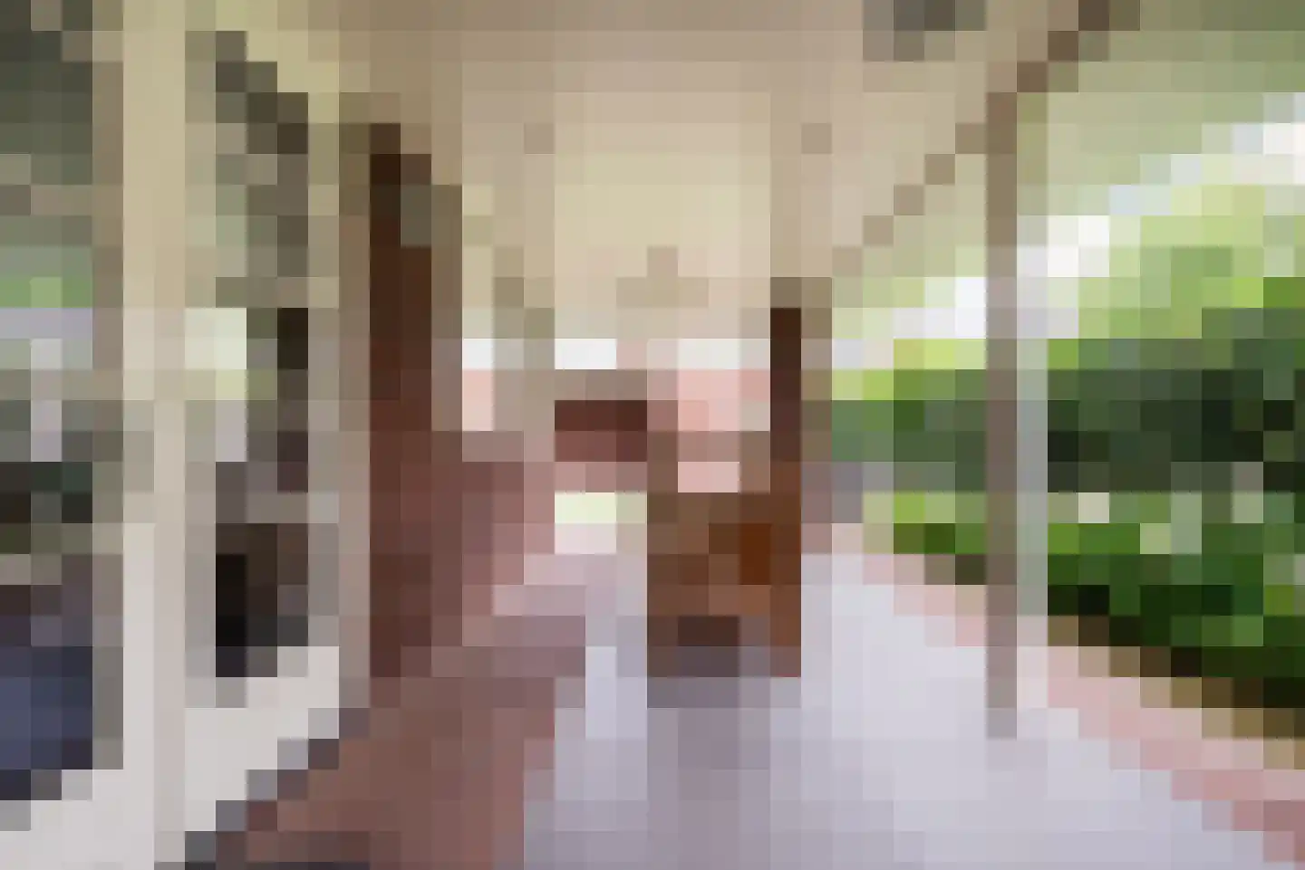 Bekkensstraat 6 Eindhoven thumbnail 48