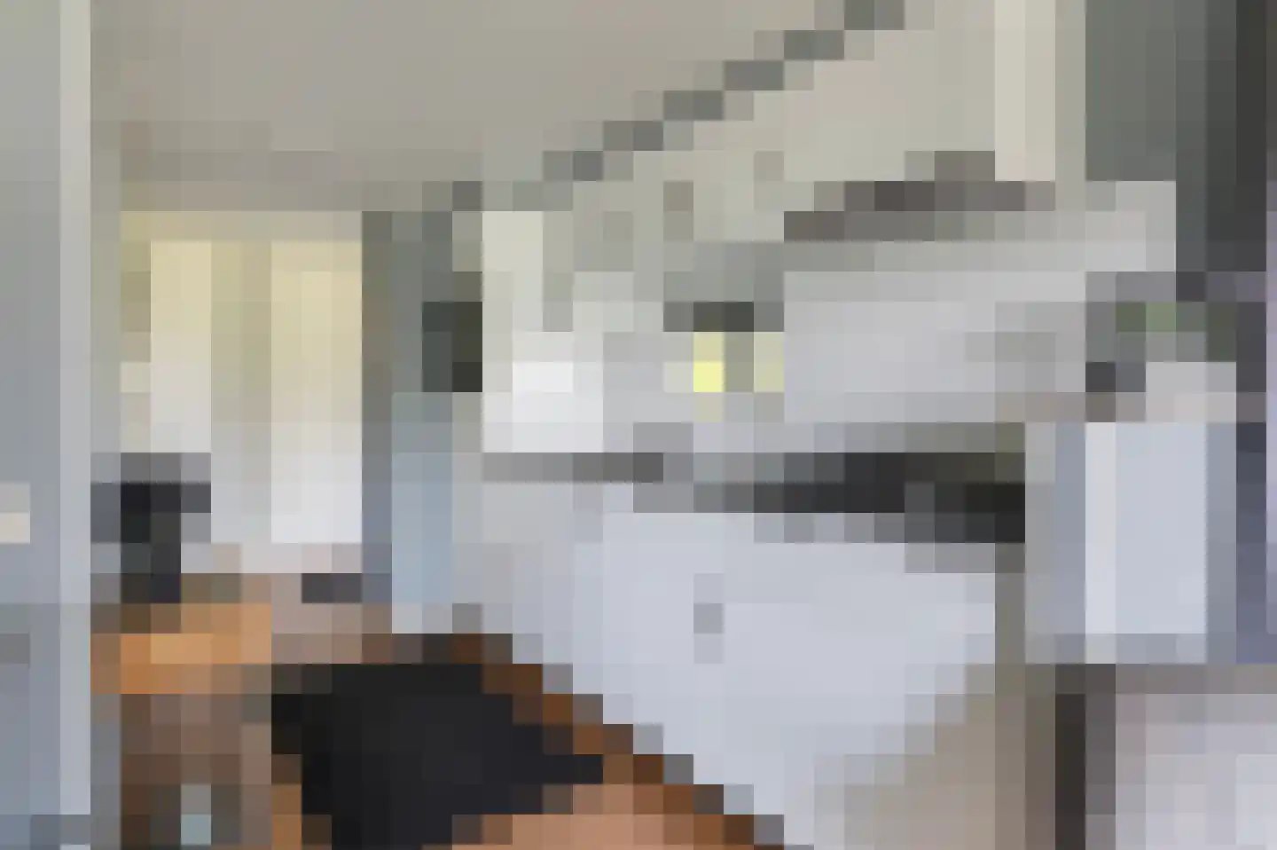 Bekkenwal 2 112 Ruurlo thumbnail 6