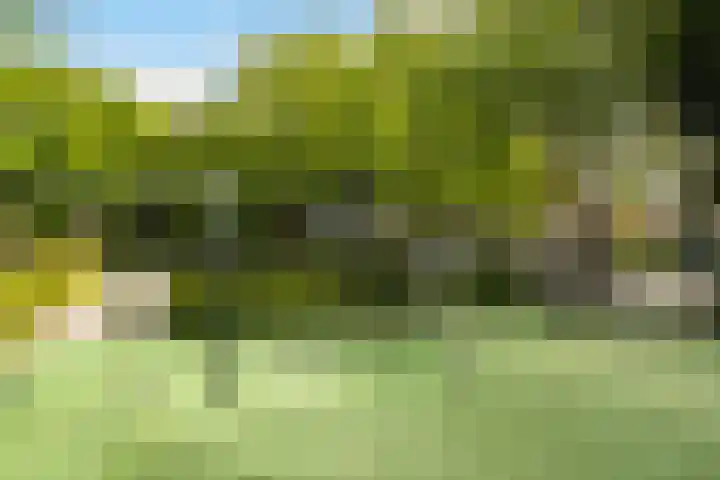 Bekkershof 23 Dordrecht thumbnail 58