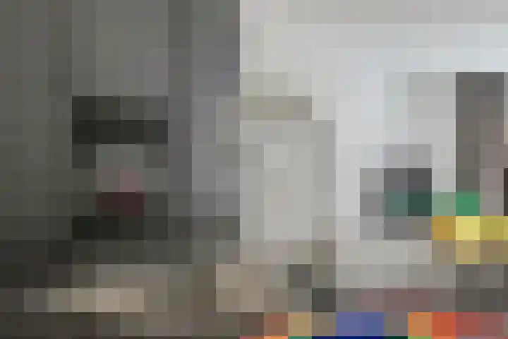 Bekkershof 6 Dordrecht thumbnail 11