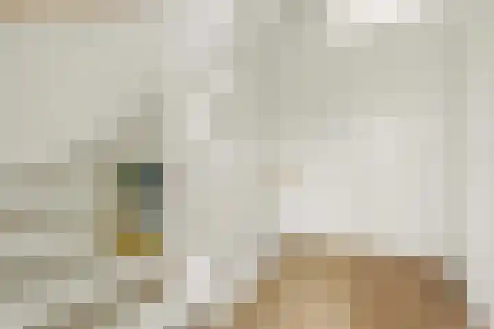 Bekkershof 6 Dordrecht thumbnail 13