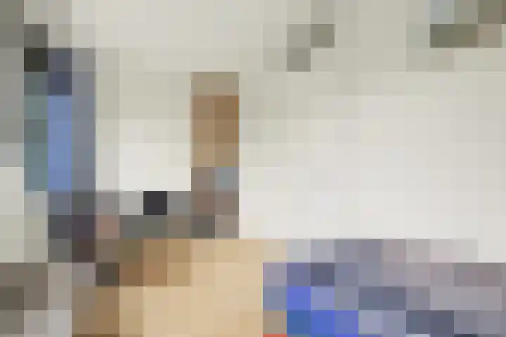 Bekkershof 6 Dordrecht thumbnail 17