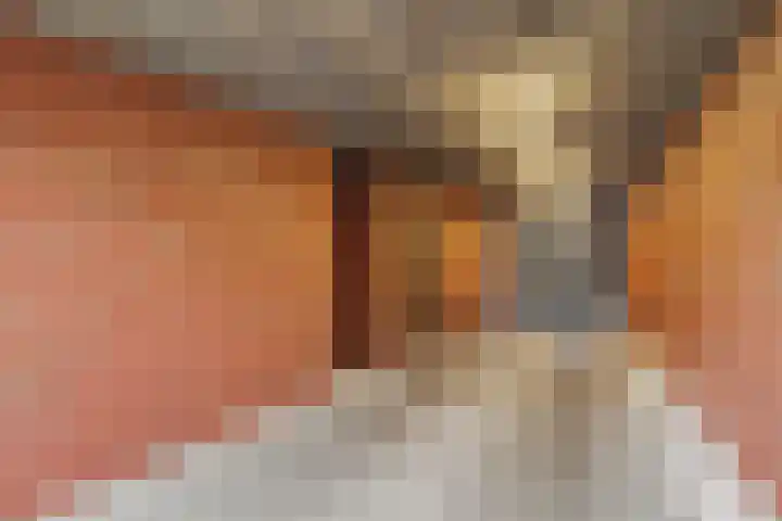 Bekkershof 6 Dordrecht thumbnail 26