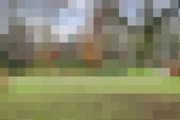 Bekkershof 6 Dordrecht thumbnail 30