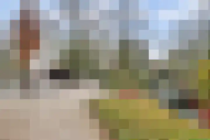 Bekkershof 6 Dordrecht thumbnail 31