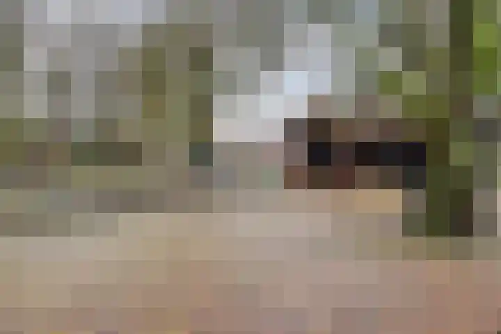 Bekkershof 6 Dordrecht thumbnail 32