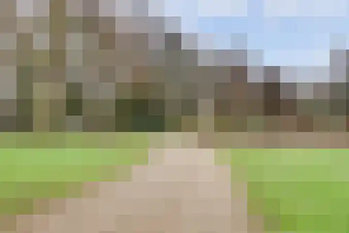 Bekkershof 6 Dordrecht thumbnail 33