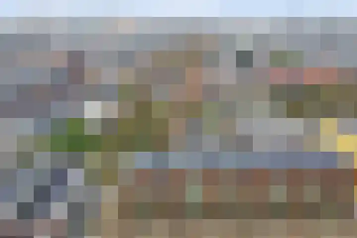 Bekkershof 6 Dordrecht thumbnail 35