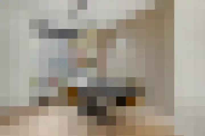 Bekkershof 6 Dordrecht thumbnail 4